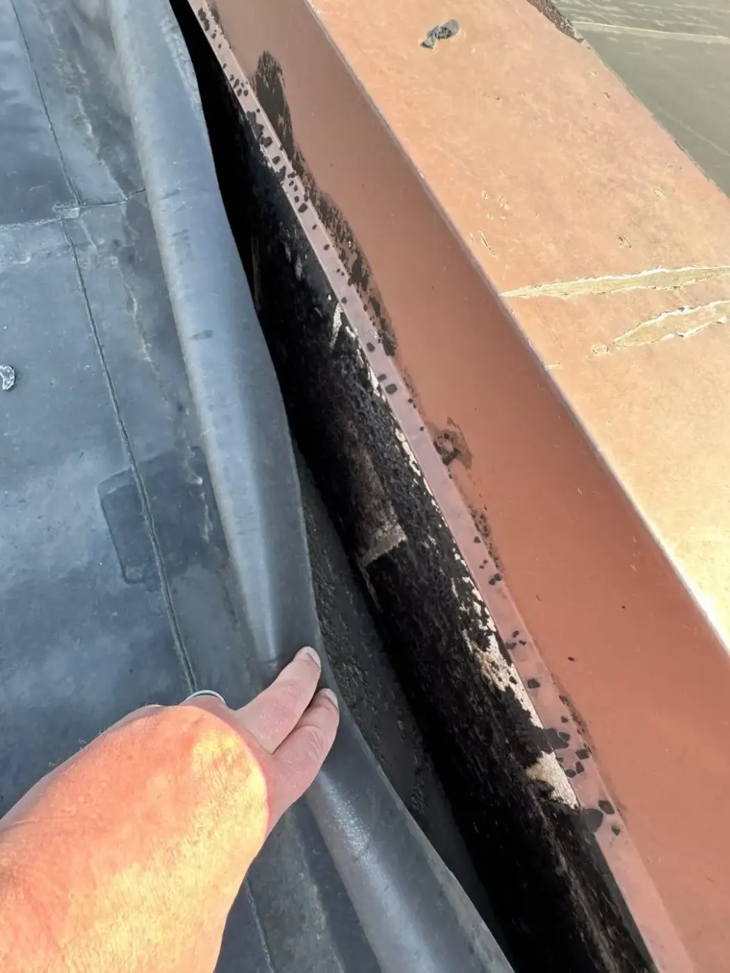 Tarping and dry-in on a Berne commercial roof